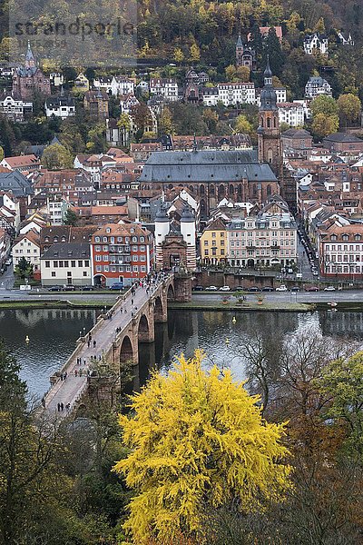 Ausblick vom Philsophenweg auf Neckar  Alte Brücke  auch Carl-Theodor-Brücke und Altstadt mit Heiliggeistkirche im Herbst  Heidelberg  Baden- Württemberg  Deutschland  Europa