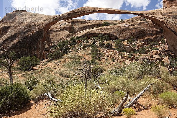 Landscape Arch im Devils Garden  Arches National Park  Utah  USA  Nordamerika