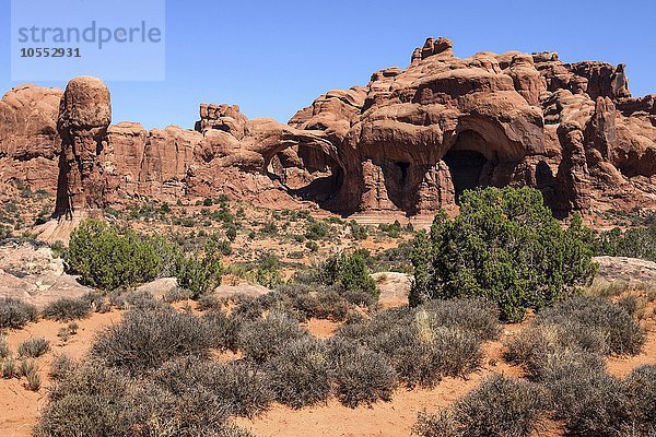 Cove of Caves  Mitte Double Arch  The Windows Selection  Arches National Park  Utah  USA  Nordamerika