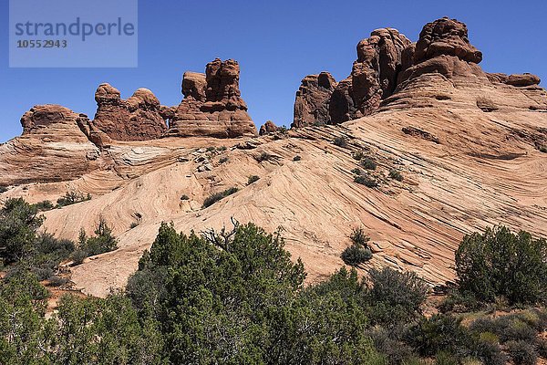 Felsformation  Strukturen im Fels  Nähe Garden of Eden  Arches National Park  Utah  USA  Nordamerika