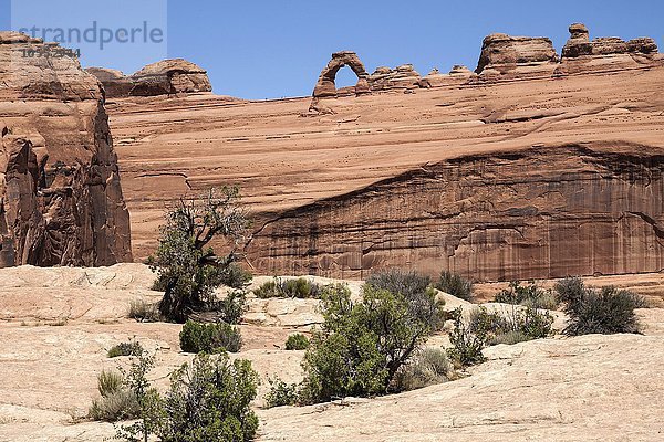 Ausblick vom upper Delicate Arch Viewpoint auf den Delicate Arch  Arches National Park  Utah  USA  Nordamerika