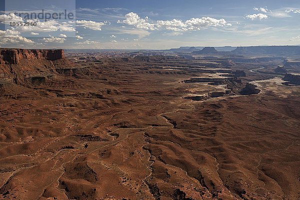 Ausblick vom Green River Overlook auf Erosionslandschaft  Canyons  Island of the Sky  Canyonlands-Nationalpark  Utah  USA  Nordamerika