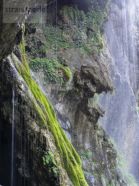 Wasserfall  Felsen mit Moos bewachsen  Cares Schlucht  Nationalpark Picos de la Europa  Cain  Castilla y León  Spanien  Europa