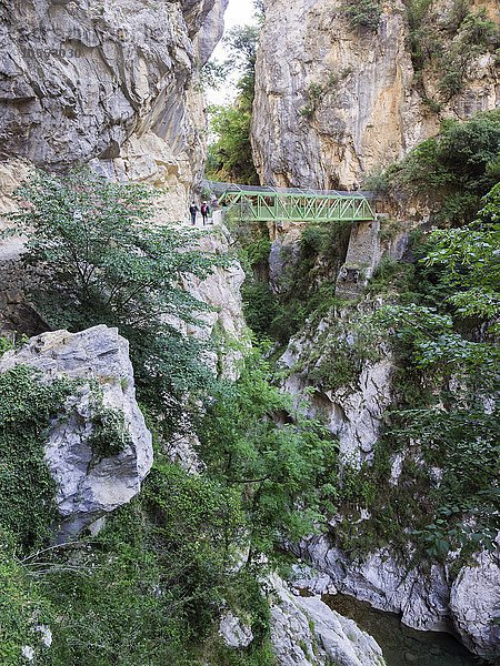 Brücke  Wanderweg durch die Cares Schlucht  Nationalpark Picos de la Europa  Cain  Castilla y León  Spanien  Europa