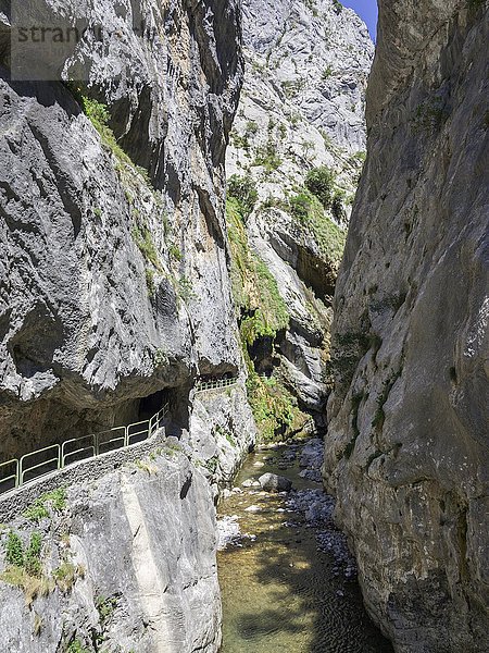 In den Felsen gehauener Weg  Cares Schlucht  Nationalpark Picos de la Europa  Cain  Castilla y León  Spanien  Europa