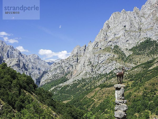 Mirador del Tombo  Cordiñanes de Valdeón  Castilla y León  Spanien  Europa