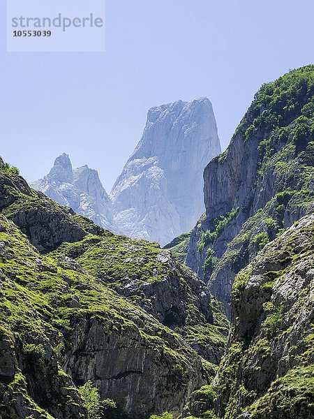 Piccu Urriellu  Bulnes  Principado de Asturias  Spanien  Europa