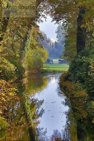 Herbst im Park Wörlitz  UNESCO-Welterbe Dessau- Wörlitzer Gartenreich  Sachsen- Anhalt  Deutschland  Europa