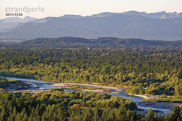 Morgenstimmung  Ausblick vom Aussichtspunkt Weiße Wand über Pupplinger Au  Isartal und Alpen  Icking  Wolfratshausen  Oberbayern  Bayern  Deutschland  Europa