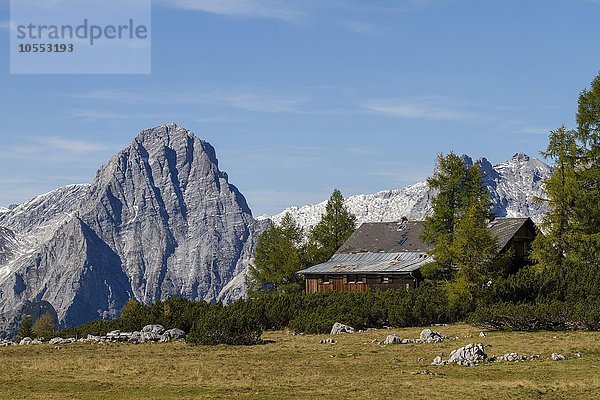 Almhütte vor dem Berg Spitzmauer  Hutterer Höss  Totes Gebirge  Oberösterreich  Österreich  Europa