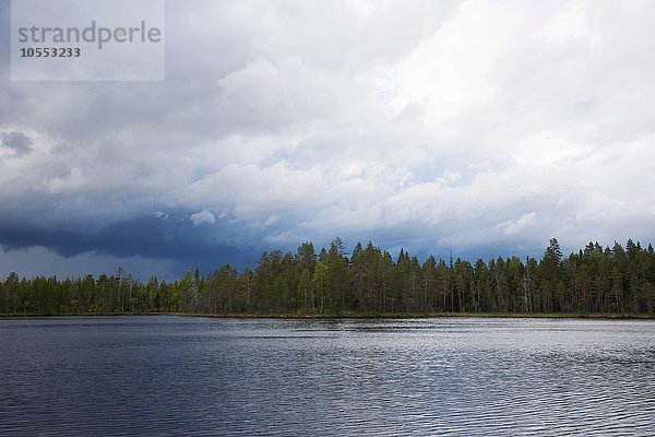 Regenstimmungstimmung am See in finnischer Taiga  Kainuu  North Karelia  Finnland  Europa