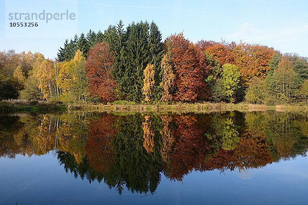 Bäume in Herbstfarben  Spiegelung in einem See  Snogeholm  Skåne län  Schweden  Europa