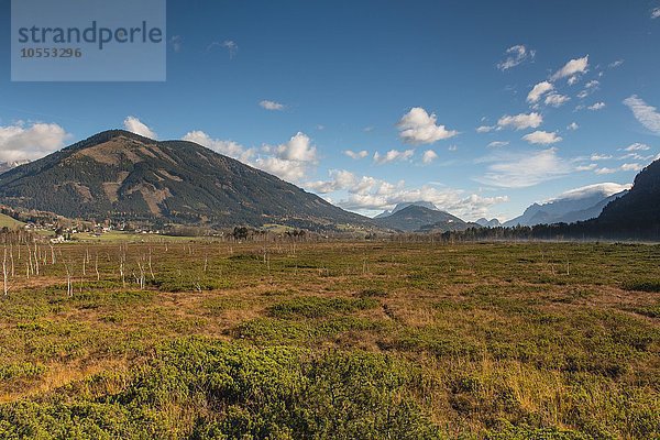 Pürgschachen Moor  Ardning  Steiermark  Österreich  Europa