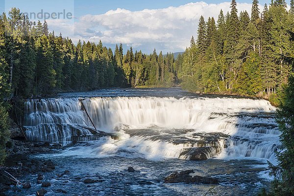 Dawson Falls  Wasserfall  Murtle River  Wells Grey Provincial Park  British Columbia  Kanada  Nordamerika