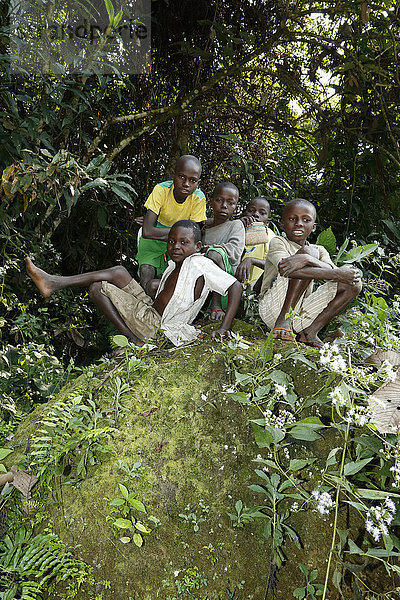 Kinder  Jungen sitzen im Urwald  Matamba-Solo  Provinz Bandundu  Republik Kongo