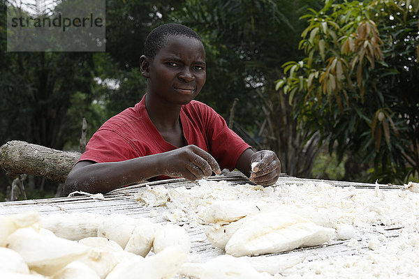 Frau breitet Maniok zum Trocknen aus  Matamba-Solo  Provinz Bandundu  Republik Kongo