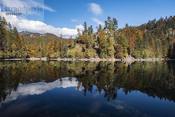 Kleiner Ödsee im Herbst  Totes Gebirge  Almtal  Salzkammergut  Oberösterreich  Österreich  Europa