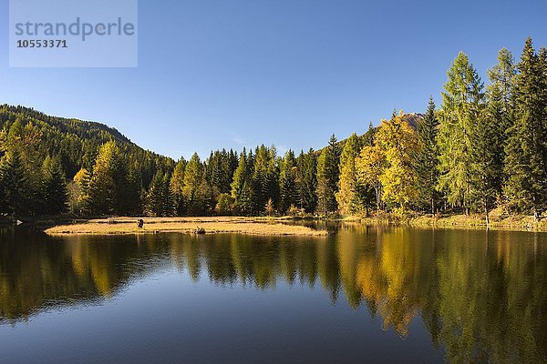 Schattensee Spiegelung im Herbst  Krakauschatten  Krakau  Steiermark  Österreich  Europa