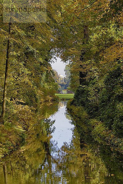 Park mit Venustempel im Herbst  Dessau- Wörlitzer Gartenreich  bei Wörlitz  Sachsen-Anhalt  Deutschland  Europa