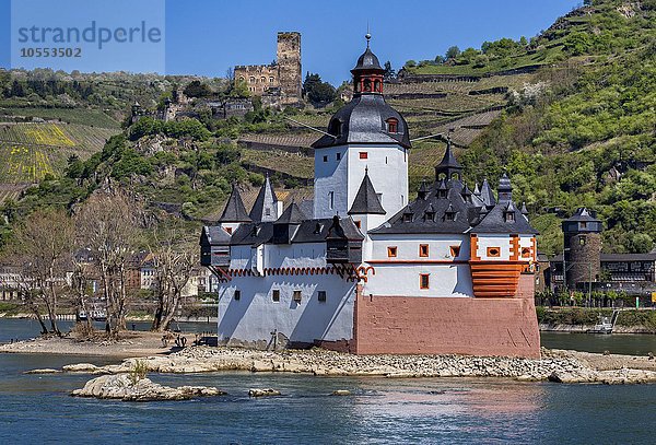 Burg Pfalzgrafenstein auf der Insel Falkenau im Rhein  UNESCO-Weltkulturerbe  Rheinland Pfalz  Deutschland  Europa
