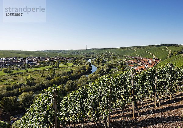 Alter Main in der Mainschleife bei Volkach  links Nordheim am Main  rechts Escherndorf  Mainfranken  Unterfranken  Franken  Bayern  Deutschland  Europa