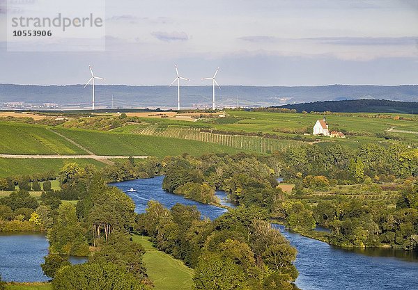 Main in der Mainschleife  hinten Kirche Maria im Weingarten  Volkach  Mainfranken  Unterfranken  Franken  Bayern  Deutschland  Europa