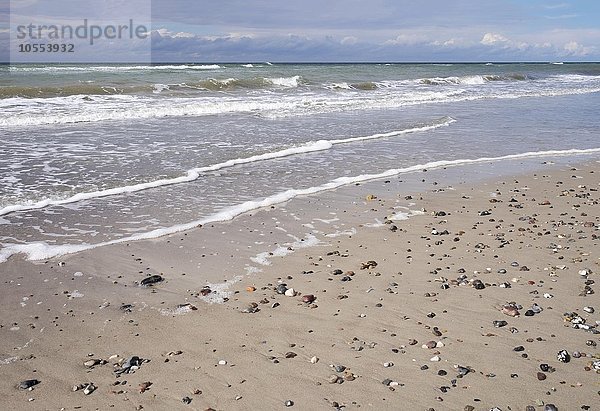 Kieselsteine am Sandstrand  Ostsee-Strand  Ahrenshoop  Fischland  Fischland-Darß-Zingst  Mecklenburg-Vorpommern  Deutschland  Europa