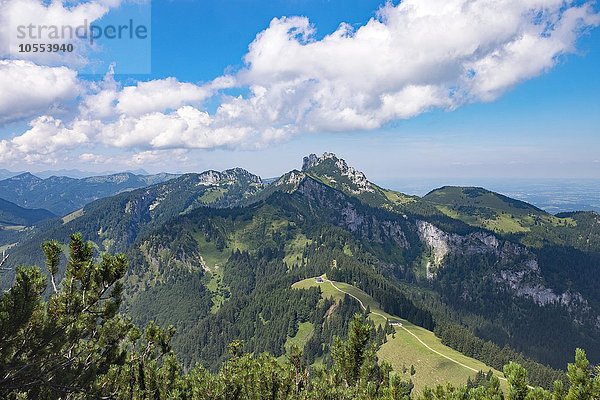 Ausblick von Hochplatte über Piesenhauser Hochalm zur Kampenwand  dahinter die Scheibenwand  Chiemgauer Alpen  Chiemgau  Oberbayern  Bayern  Deutschland  Europa