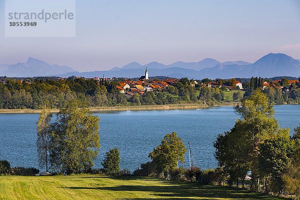Tachinger See mit Tettenhausen  Rupertiwinkel  Chiemgau  Oberbayern  Bayern  Deutschland  Europa