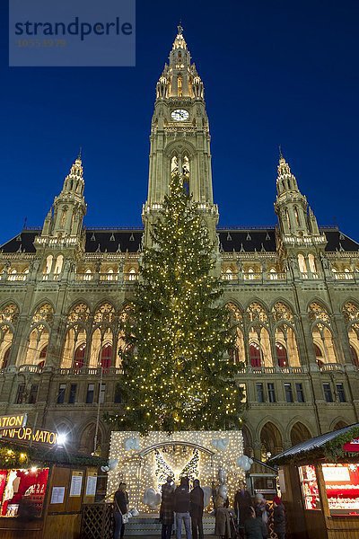 Beleuchteter Weihnachtsbaum vor dem Wiener Rathaus  Rathausplatz  Wien  Österreich  Europa