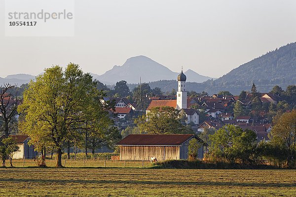 Königsdorf  Oberbayern  Bayern  Deutschland  Europa