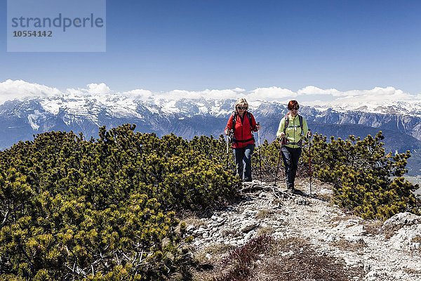 Wanderer auf dem Gipfel der Wiggerspitz  Cima Roccapiana  Blick ins Nonstal und auf Brentagruppe  Trentino  Trentino-Südtirol  Alpen  Italien  Europa