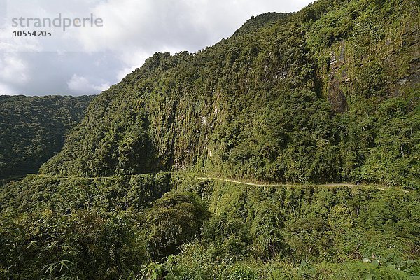 Todesstrasse schlängelt sich durch subtropischen Regenwald  Camino de la Muerte  Yungas Straße zwischen La Paz und Coroico  Bolivien  Südamerika