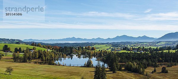 Landschaft mit einem kleinen Weiher  hinten Silhouette der Allgäuer Alpen  Allgäu  Schwaben  Bayern  Deutschland  Europa