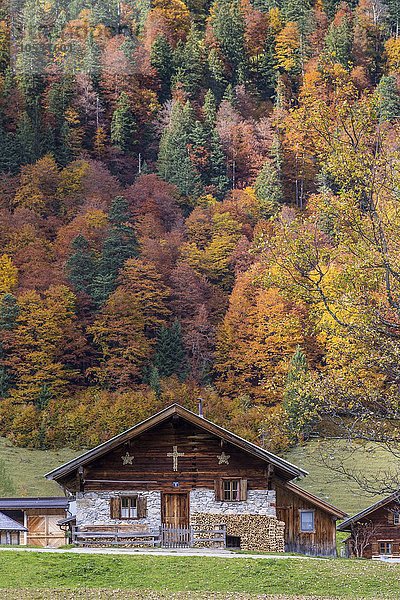 Almhütte vor Herbstwald  Eng-Alm  Hinterriss  Karwendelgebirge  Tirol  Österreich  Europa