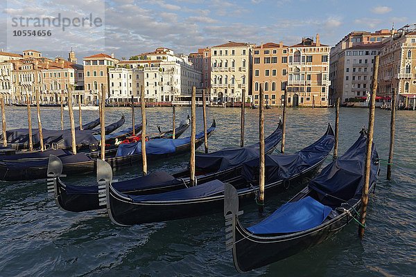 Canal Grande im Morgenlicht mit Gondeln und Palazzi  Venedig  Venetien  Italien  Europa