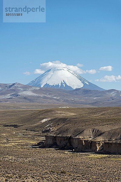 Vulkan Parinacota  6348 m  Lauca Nationalpark  Region Arica y Parinacota  Nordchile  Chile  Südamerika