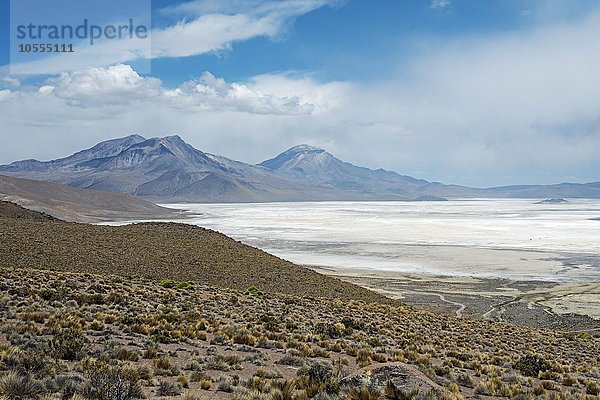 Salzsee  Monumento Natural Salar de Surire  Region Arica y Parinacota  Nordchile  Chile  Südamerika