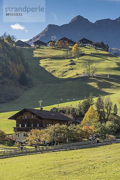 Bichl  Prägraten am Großvenediger  Virgental  Osttirol  Österreich  Europa
