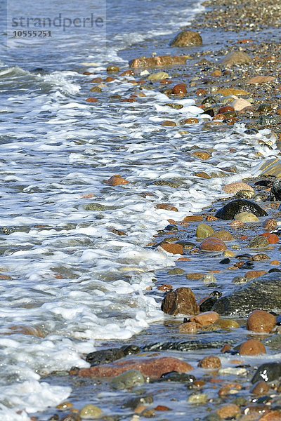 Bunte Steine am Strand von Wasser umspült  Hohes Ufer bei Ahrenshoop  Fischland-Darß-Zingst  Mecklenburg-Vorpommern  Deutschland  Europa