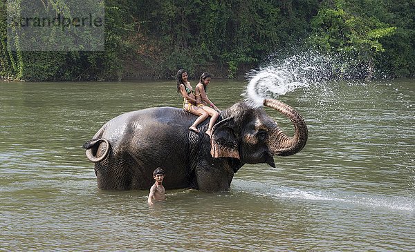 Elefant spritzt zwei Touristinnen nass  Provinz Kanchanaburi  Zentralthailand  Thailand  Asien