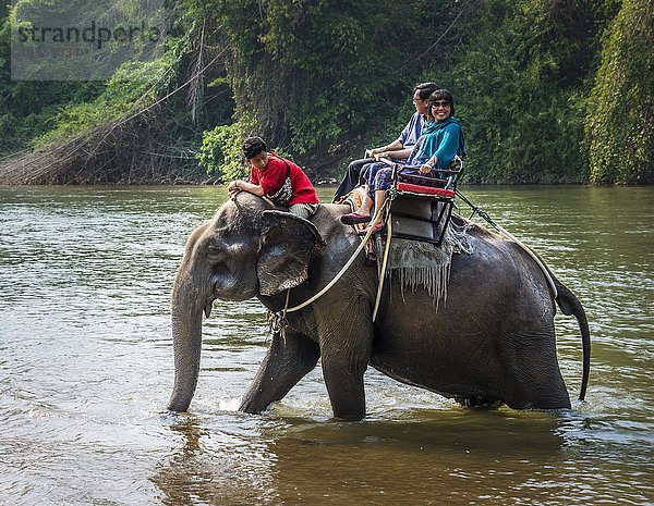 Zwei Touristen mit Mahut reiten auf einem Elefanten im Wasser  Provinz Kanchanaburi  Zentralthailand  Thailand  Asien