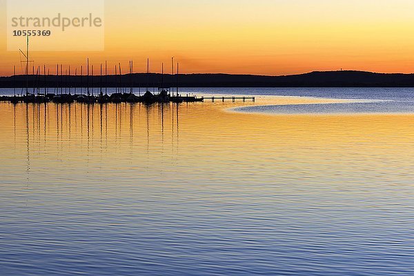 Bootsanleger mit Segelbooten bei Abendrot  Steinhuder Meer  Steinhude  Niedersachsen  Deutschland  Europa