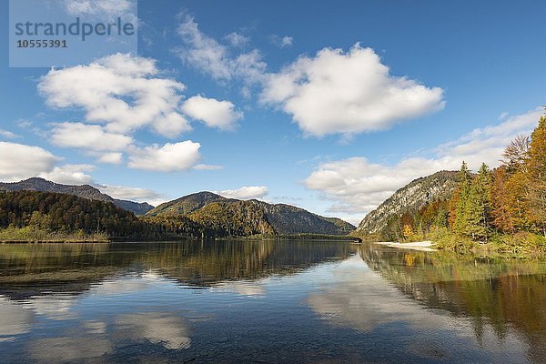 Almsee im Herbst  Totes Gebirge  Almtal  Oberösterreich  Österreich  Europa