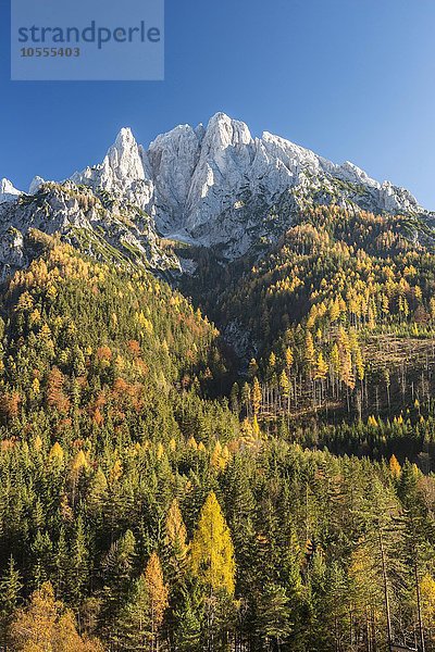 Großer Ödstein im Herbst  Nationalpark Gesäuse  Steiermark  Österreich  Europa