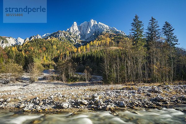 Großer Ödstein im Herbst  vorne der Johnsbach  Nationalpark Gesäuse  Steiermark  Österreich  Europa