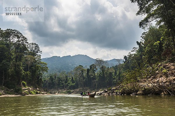 Boot auf dem Fluss Sungai Tembeling  Regenwald  Dschungel  Kuala Tahan  Taman Negara Nationalpark   Malaysia  Asien