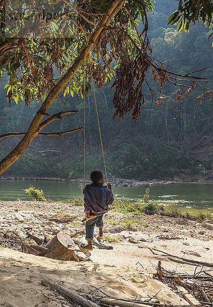 Kleiner Junge  Ureinwohner Orang Asil  schaukelt  Nationalpark Taman Negara  Malaysia  Asien
