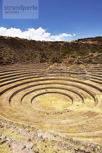 Inka-Terrassen im Heiligen Tal  Landwirtschaft  Moray  Ollantaytambo  Peru  Südamerika