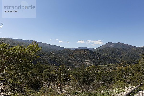 Landschaft im Regionalpark Verdon  Rougon  Provence-Alpes-Côte d'Azur  Frankreich  Europa